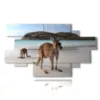 cuadros de animales modernos en australia - version: 12 pannelli 206x119cm