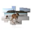 tableaux animaux modernes en australie - version: 15 pannelli 216x146cm