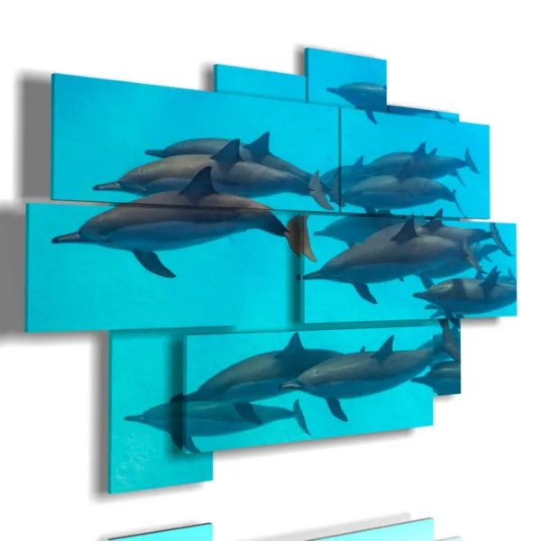 peintures de dauphins