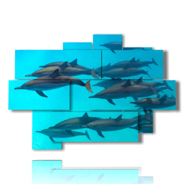 impresión de delfines