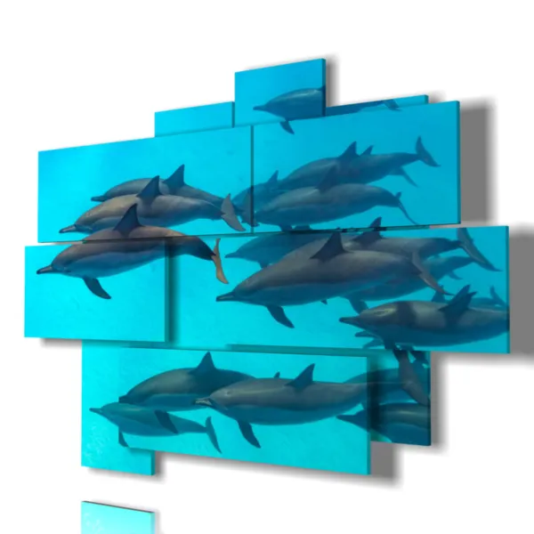 quadri con stampa delfini