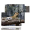 paintings of african animals with leopard - version: 6 pannelli 122x96cm