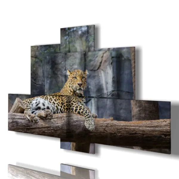 African animal prints