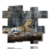 quadri di animali africani con il leopardo - version: 14 pannelli 176x153cm