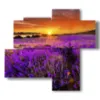 tableaux fleurs de lavande embrassees par un coucher de soleil spectaculaire - version: 4 pannelli 94x85cm