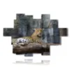 afrikanische tierbilder mit leoparden - version: 17 pannelli 225x152cm