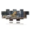 afrikanische tierbilder mit leoparden - version: 11 pannelli 232x98cm