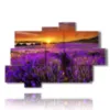 paintings lavender flowers kissed by a spectacular sunset - version: 10 pannelli 173x114cm