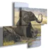 quadro con elefante originale
