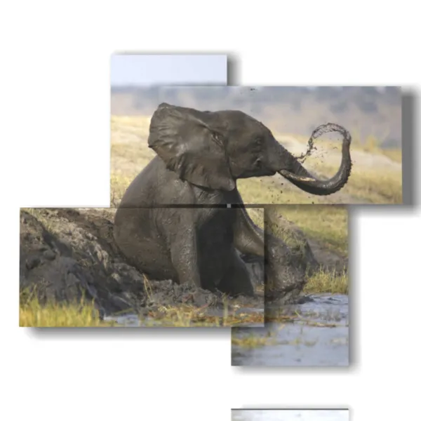 Tableau avec une décoration d''éléphant