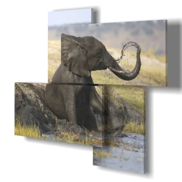 Tableau avec un éléphant moderne