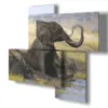 quadro con elefante moderno