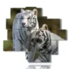 cuadros tigre por parejas - version: 13 pannelli 172x153cm