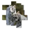 cuadros tigre por parejas - version: 11 pannelli 146x158cm