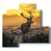 quadri animali montagna nella magia del tramonto - version: 4 pannelli 83x78cm