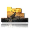 mountain animal paintings in the magic of sunset - version: 7 pannelli 171x101cm