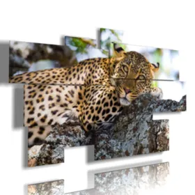 quadri animali savana in riposo