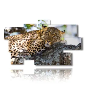 quadri animali savana