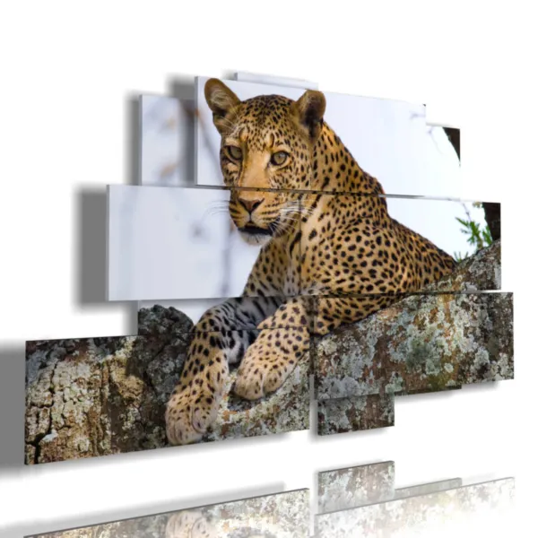 Tableaux avec des animaux