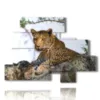 quadro con animali africani - version: 10 pannelli 171x124cm