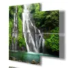 immagine di cascata della giungla in foresta pluviale tropical 3d Duudaart
