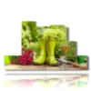 modern paintings flowers and gardening equipment - version: 7 pannelli 171x101cm