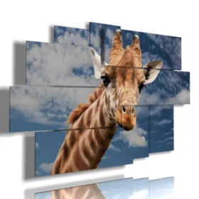 quadri di animali colorati dal collo lungo