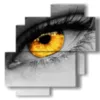 bild auge - version: 4 pannelli 77x78cm