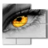eye painting - version: 4 pannelli 91x85cm