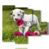 dulces cuadros de perro con flores - version: 5 pannelli 104x90cm