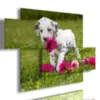 Very adorable dog paintings with flowers.