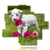 bilder suesser hund mit blumen - version: 13 pannelli 172x153cm