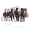 tableaux chevaux courant dans la neige hivernale - version: 10 pannelli 173x114cm