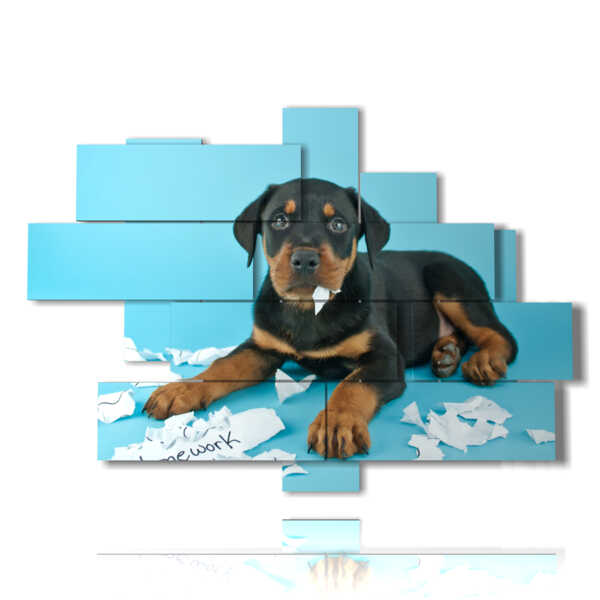 quadro cane moderno che gioca con la carta