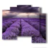 paintings with lavender flowers in a reflected sky - version: 5 pannelli 89x77cm