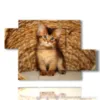 painting cat in the basket - version: 5 pannelli 128x85cm