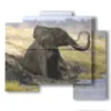 tableau avec elephant assis - version: 5 pannelli 89x77cm