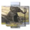 tableau avec elephant assis - version: 5 pannelli 89x85cm