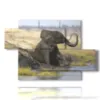 tableau avec elephant assis - version: 5 pannelli 128x85cm