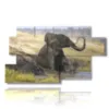 painting with seated elephant - version: 7 pannelli 157x90cm