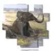 tableau avec elephant assis - version: 14 pannelli 162x153cm