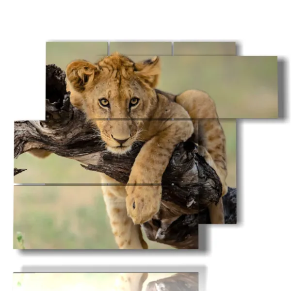 Paintings with a lion