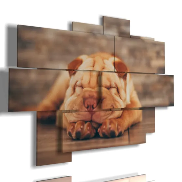 cuadros con perro