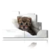 paintings cats puppies - version: 7 pannelli 171x101cm