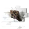 tableaux chats chatons - version: 10 pannelli 173x114cm