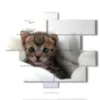 quadri gatti cuccioli - version: 12 pannelli 175x146cm