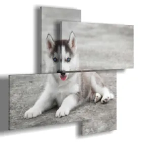 Tableaux avec un chien