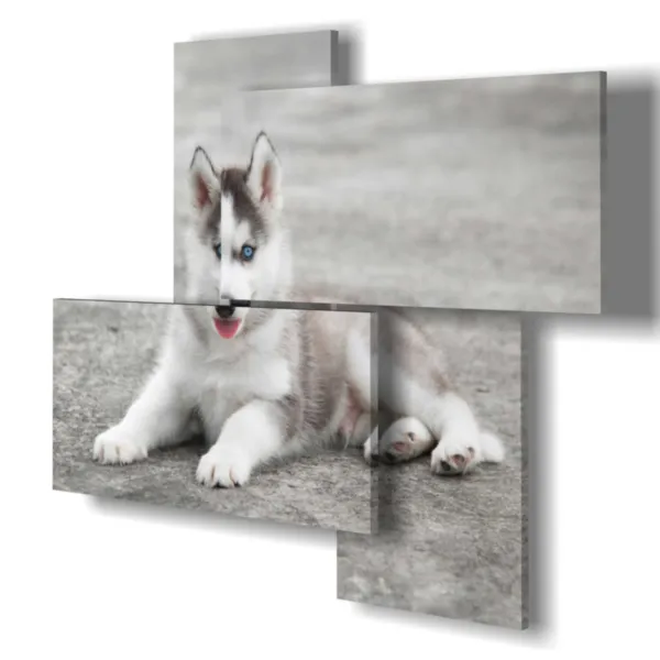 impresión de perro decoración