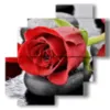 modern paintings red roses in black stones - version: 4 pannelli 77x78cm