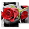 moderne bilder rote rosen in schwarzen steinen - version: 4 pannelli 91x85cm